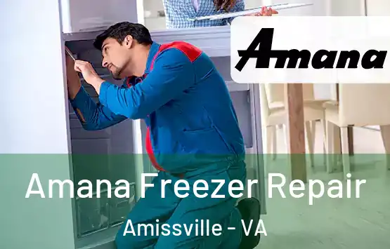  Amana Freezer Repair Amissville - VA