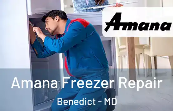  Amana Freezer Repair Benedict - MD