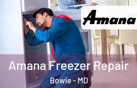  Amana Freezer Repair Bowie - MD