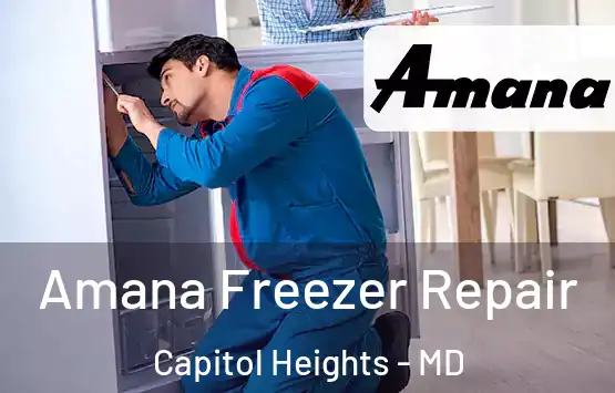  Amana Freezer Repair Capitol Heights - MD