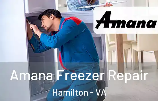  Amana Freezer Repair Hamilton - VA