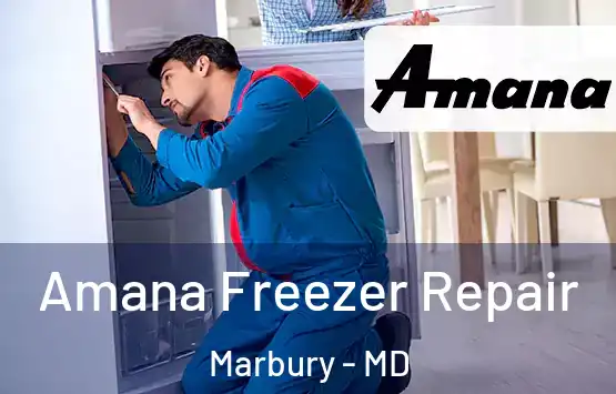  Amana Freezer Repair Marbury - MD