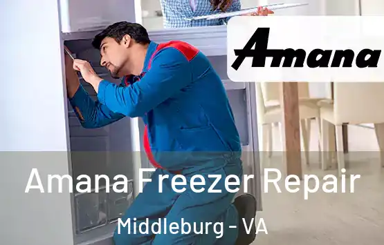  Amana Freezer Repair Middleburg - VA