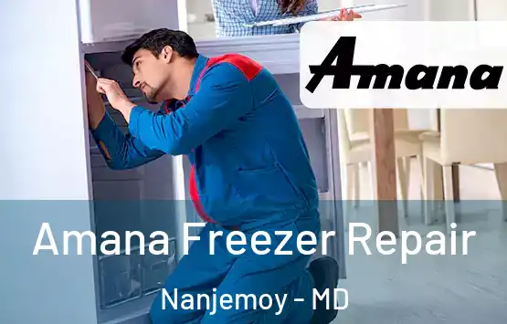  Amana Freezer Repair Nanjemoy - MD