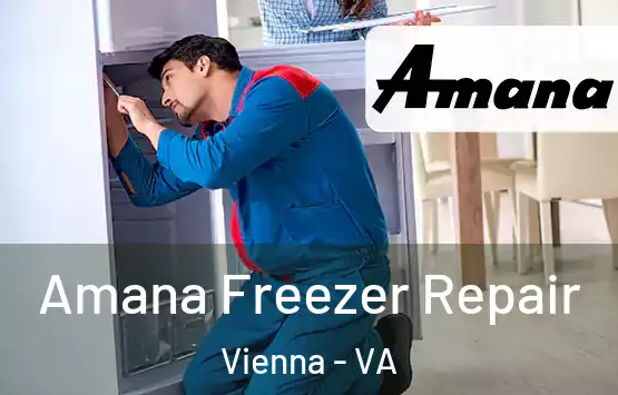  Amana Freezer Repair Vienna - VA