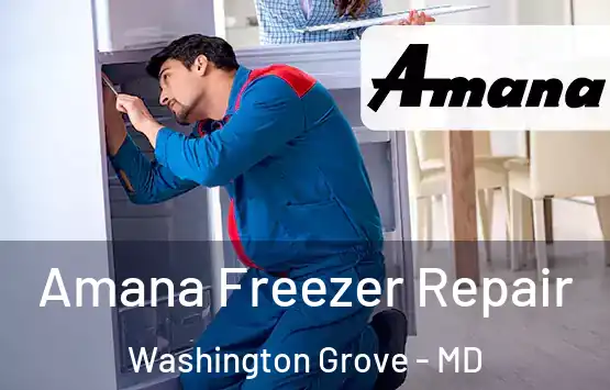  Amana Freezer Repair Washington Grove - MD