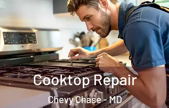  Cooktop Repair Chevy Chase - MD