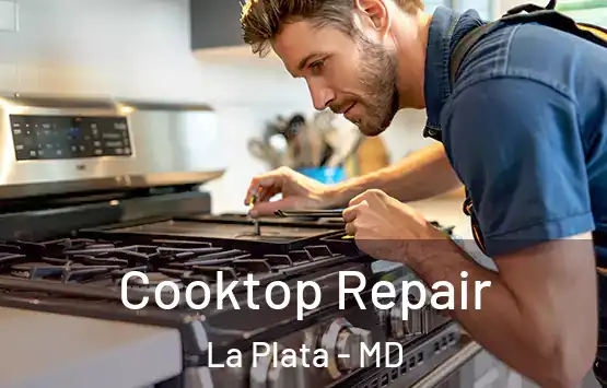  Cooktop Repair La Plata - MD