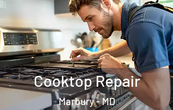  Cooktop Repair Marbury - MD