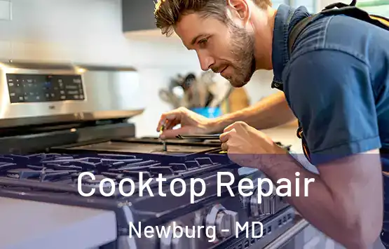  Cooktop Repair Newburg - MD