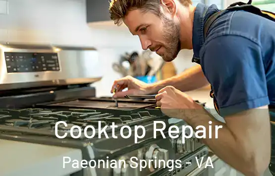  Cooktop Repair Paeonian Springs - VA