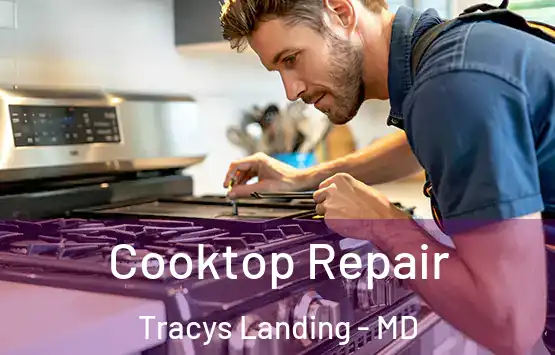  Cooktop Repair Tracys Landing - MD