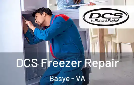 DCS Freezer Repair Basye - VA