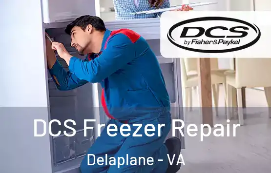  DCS Freezer Repair Delaplane - VA
