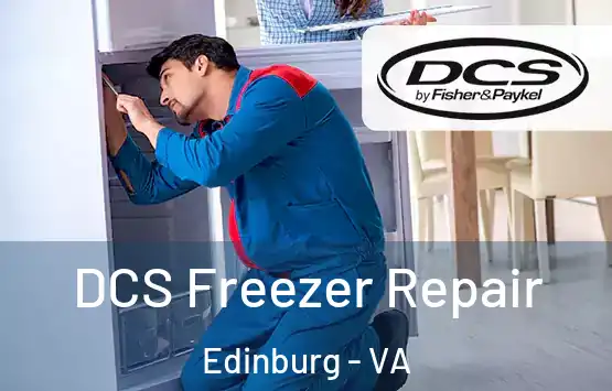  DCS Freezer Repair Edinburg - VA