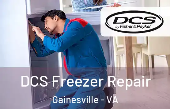  DCS Freezer Repair Gainesville - VA