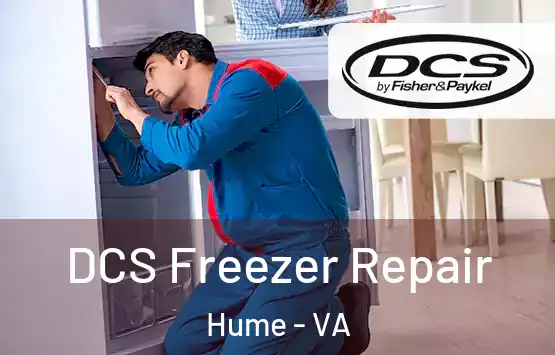  DCS Freezer Repair Hume - VA