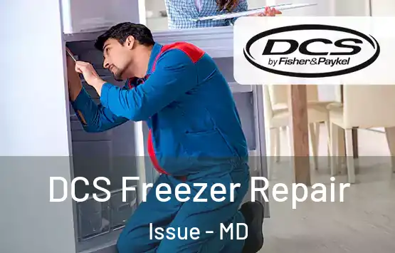  DCS Freezer Repair Issue - MD