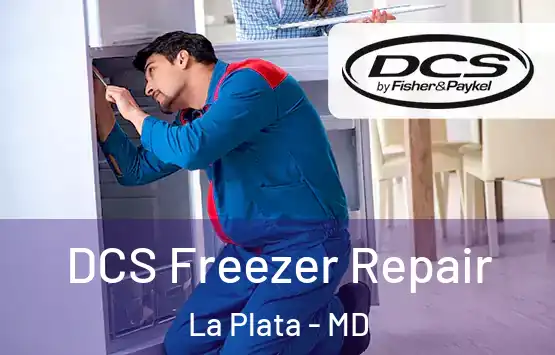  DCS Freezer Repair La Plata - MD