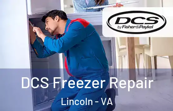  DCS Freezer Repair Lincoln - VA