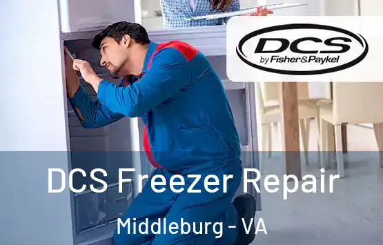  DCS Freezer Repair Middleburg - VA