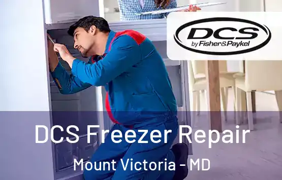  DCS Freezer Repair Mount Victoria - MD