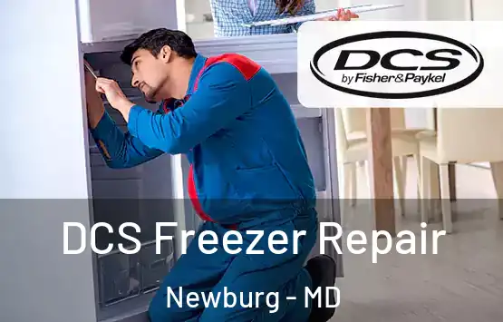  DCS Freezer Repair Newburg - MD