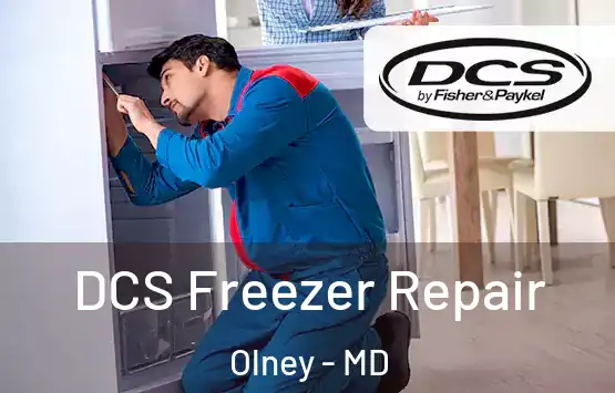  DCS Freezer Repair Olney - MD