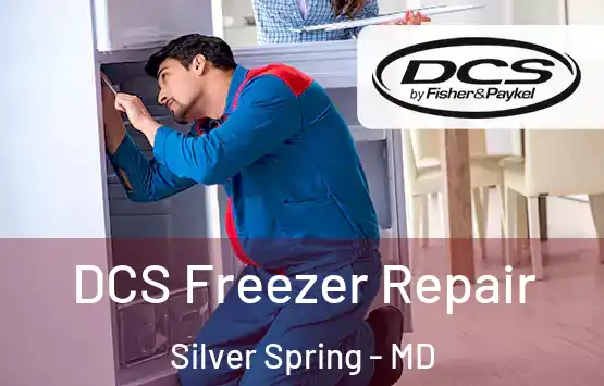  DCS Freezer Repair Silver Spring - MD