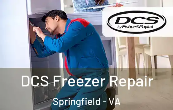  DCS Freezer Repair Springfield - VA