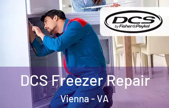  DCS Freezer Repair Vienna - VA