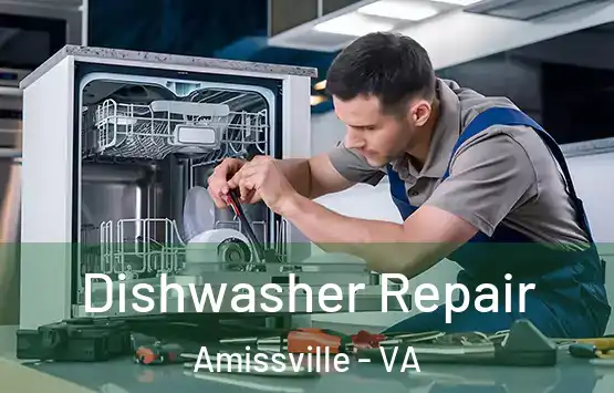  Dishwasher Repair Amissville - VA