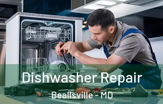  Dishwasher Repair Beallsville - MD