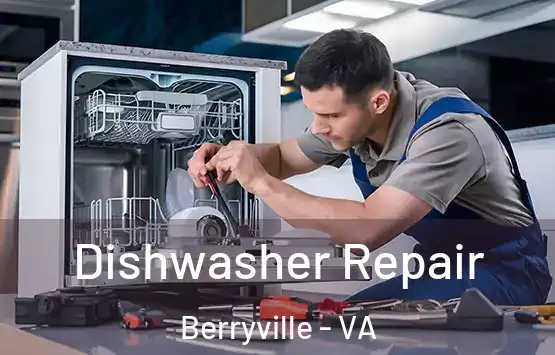  Dishwasher Repair Berryville - VA