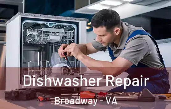  Dishwasher Repair Broadway - VA