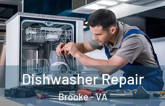  Dishwasher Repair Brooke - VA