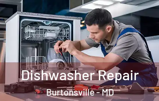  Dishwasher Repair Burtonsville - MD