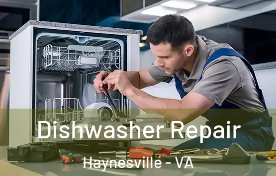  Dishwasher Repair Haynesville - VA
