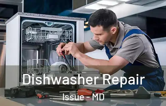  Dishwasher Repair Issue - MD