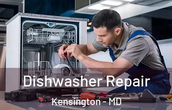  Dishwasher Repair Kensington - MD
