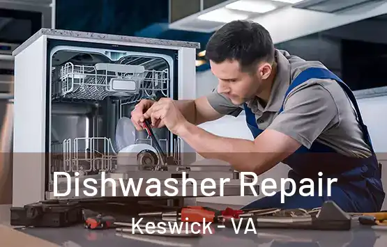  Dishwasher Repair Keswick - VA