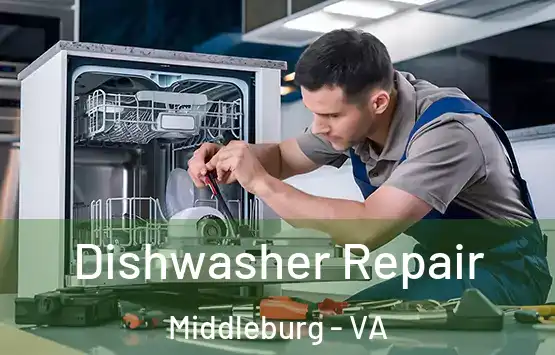  Dishwasher Repair Middleburg - VA