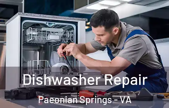  Dishwasher Repair Paeonian Springs - VA