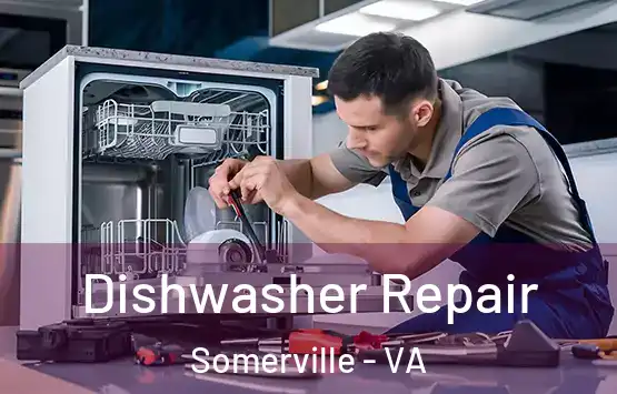  Dishwasher Repair Somerville - VA