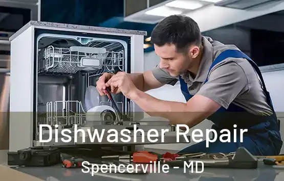  Dishwasher Repair Spencerville - MD