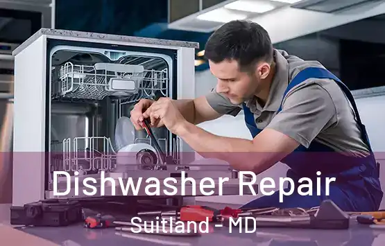  Dishwasher Repair Suitland - MD