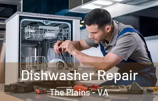  Dishwasher Repair The Plains - VA