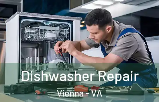  Dishwasher Repair Vienna - VA