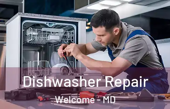  Dishwasher Repair Welcome - MD