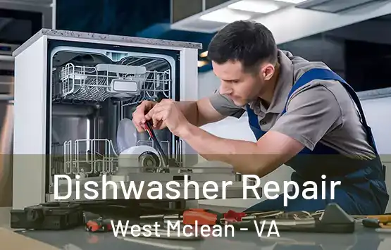  Dishwasher Repair West Mclean - VA